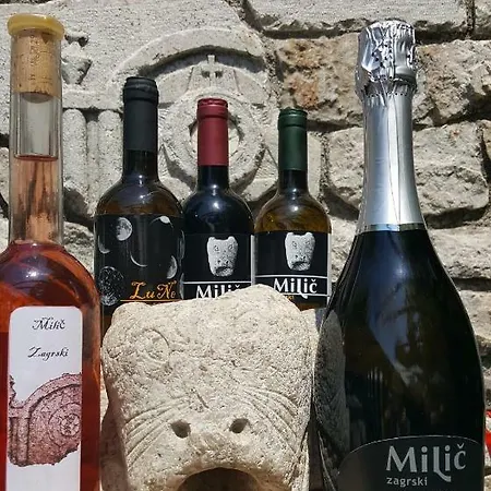Farma Agriturismo Milic